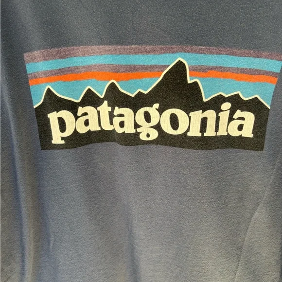 Patagonia Men's blue long sleeve with Logo Size Large - Picture 2 of 4